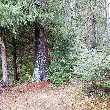 Chalet Taffski Borovets Eksteriør bilde