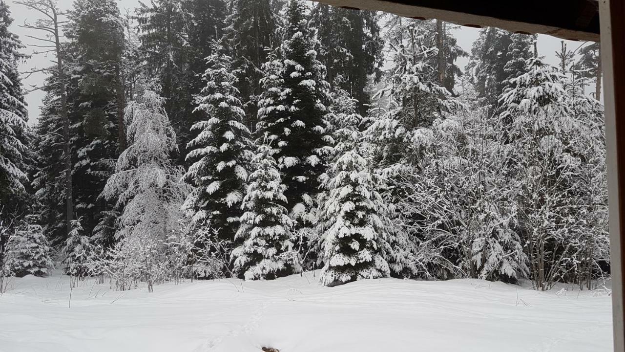 Chalet Taffski Borovets Eksteriør bilde