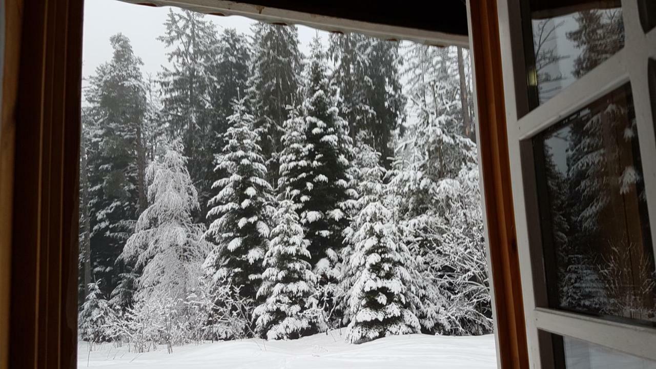 Chalet Taffski Borovets Eksteriør bilde